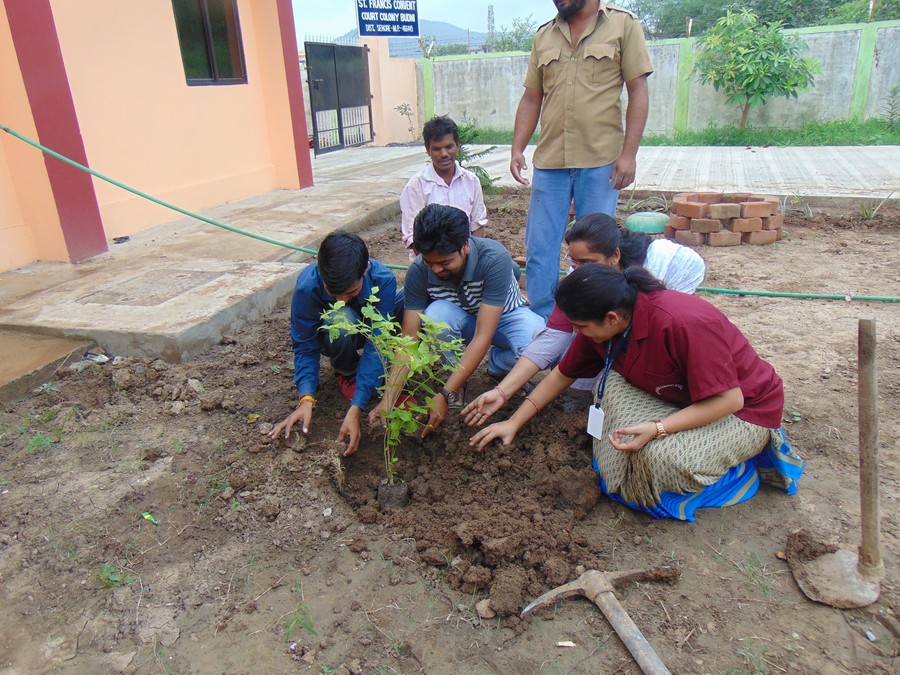 Herbal-Plants-Plantation-2018